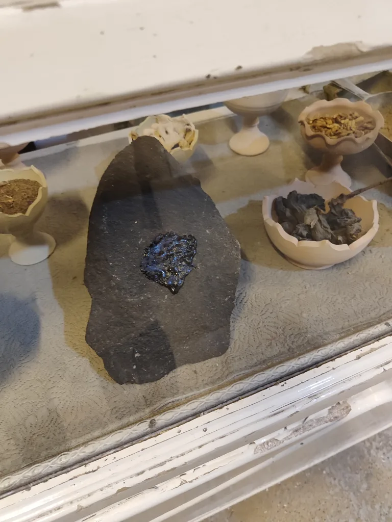 Traditional mumijo (shilajit) exhibit in a Jahram ethnography museum